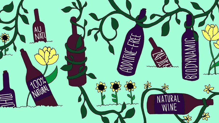 4 main differences between natural and ordinary wine