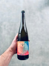 Load image into Gallery viewer, Natural Wines With a Story - Nibiru - Grundstein Riesling - Hand
