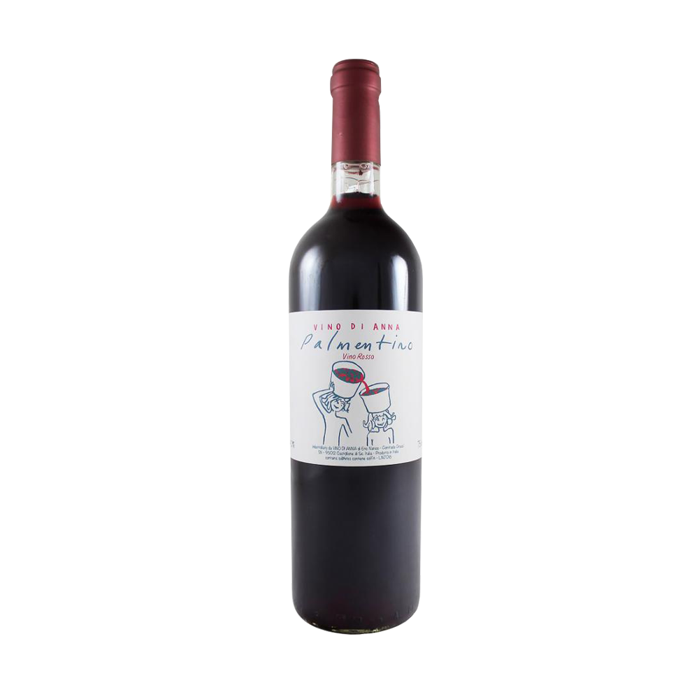Vino Di Anna - Palmentino